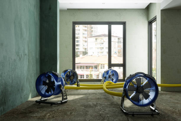  Bradford, RI Water damage restoration Pros