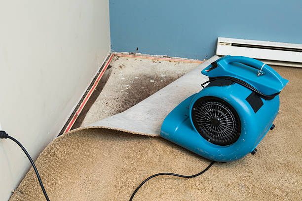 Best Water damage restoration insurance claims  in Bradford, RI